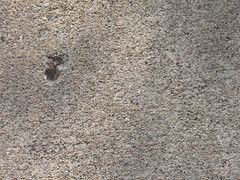 concrete sidewalk with a chip missing from the upper-left corner