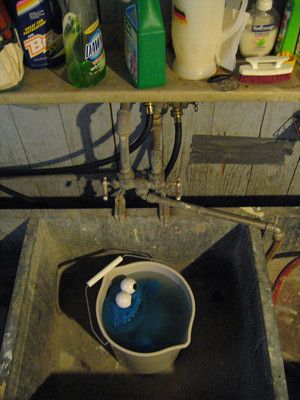 a Cookie Monster doll in a bucket full of water in a filthy sink in a basement laundry room in Chicago; across the top, one can see a shelf of miscellaneous cleaning items