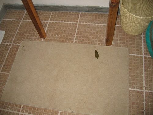 monkey poo on a bathmat