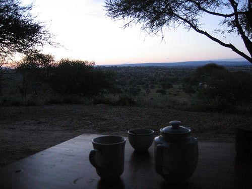 sunrise at Tarangire