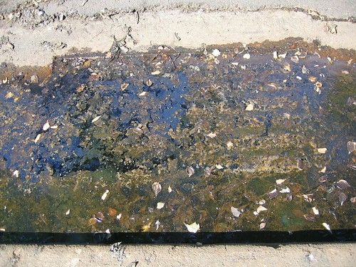 almoust fuly submerged sewer grate @ Asbury & Franklin