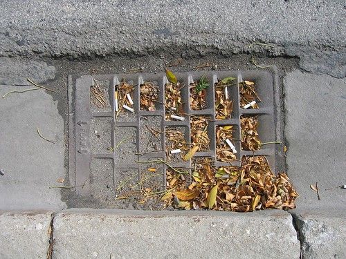 sewer grate completely stuffed with dirt, leaves, and cigarette butts in Rosemont, IL