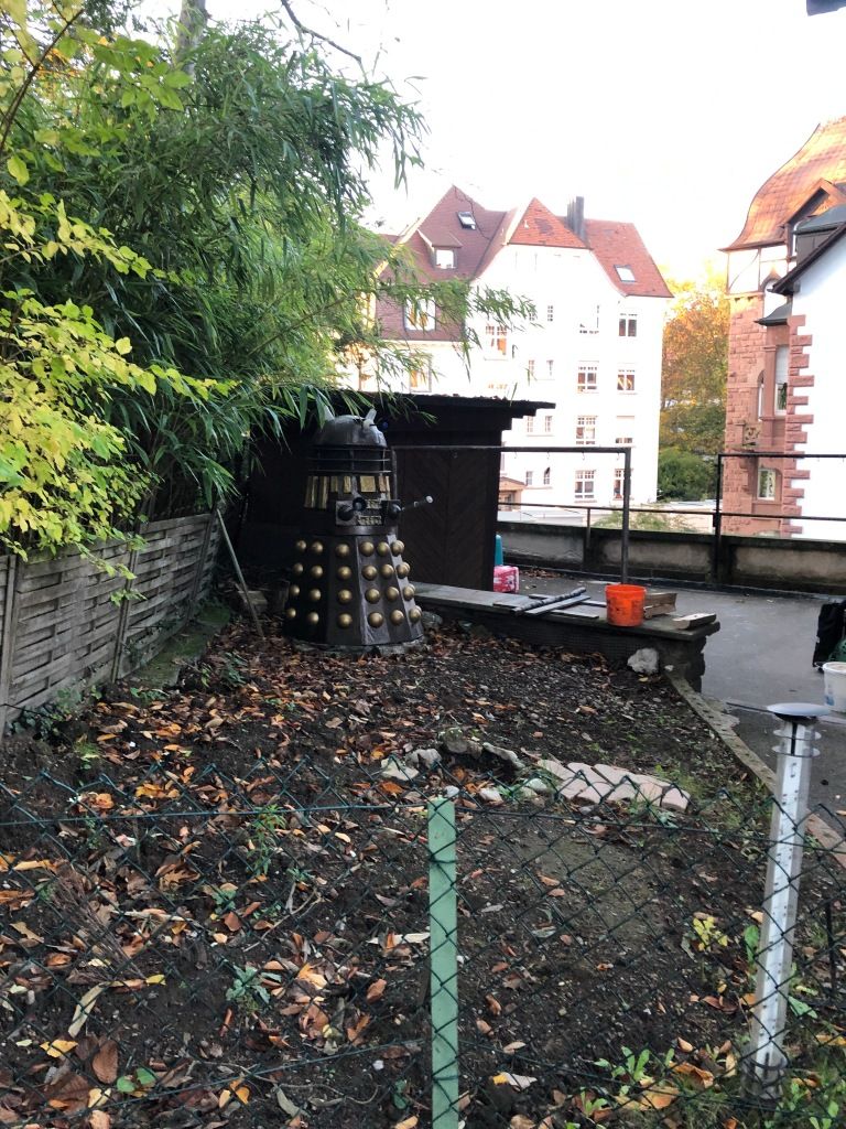 a Dalek in the corner of a small back yard?!