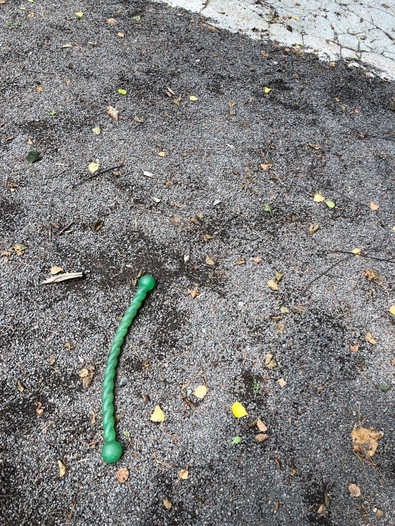 a green plastic dog toy (which looks like a piece of rope with a ball at each end) on a background of stone, earth, concrete, and various yellow leaves and pine needles