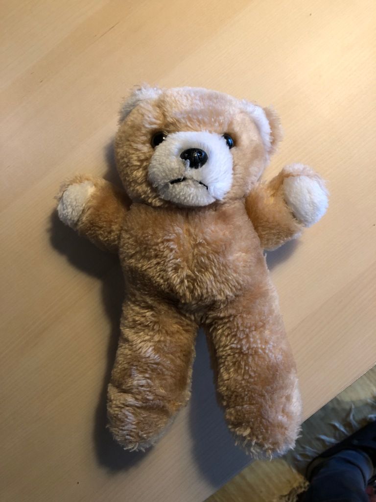 the saddest teddy bear in the world