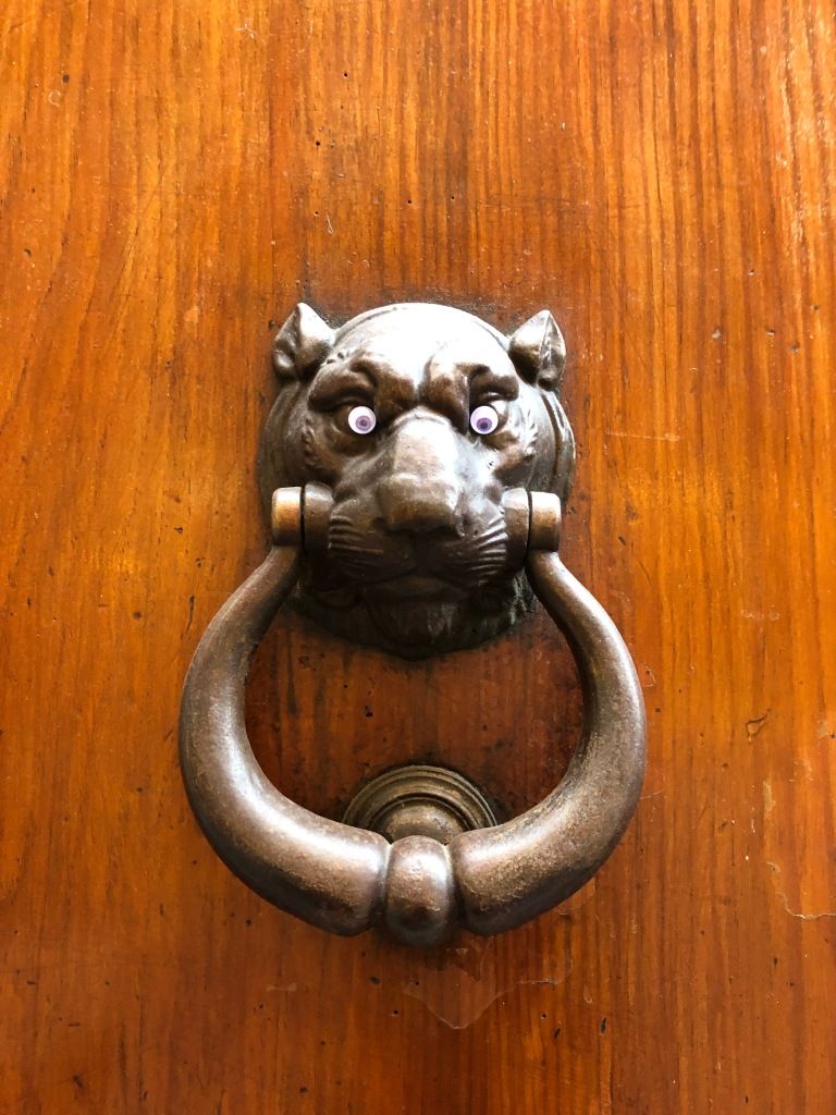 a wooden door sporting a metal knocker shaped like a lion holding a heavy ring; the lion's eyes have been replaced by plastic googly eyes