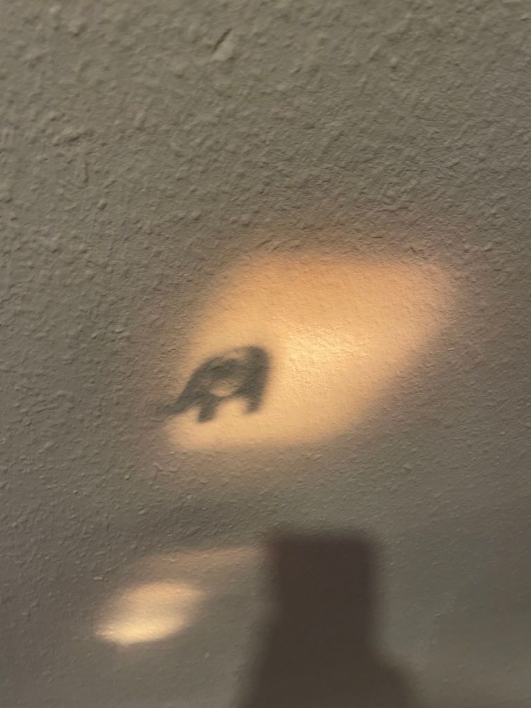 an image of a white wall or ceiling with rhombus-shaped splash of light and the shadow of an elephant within